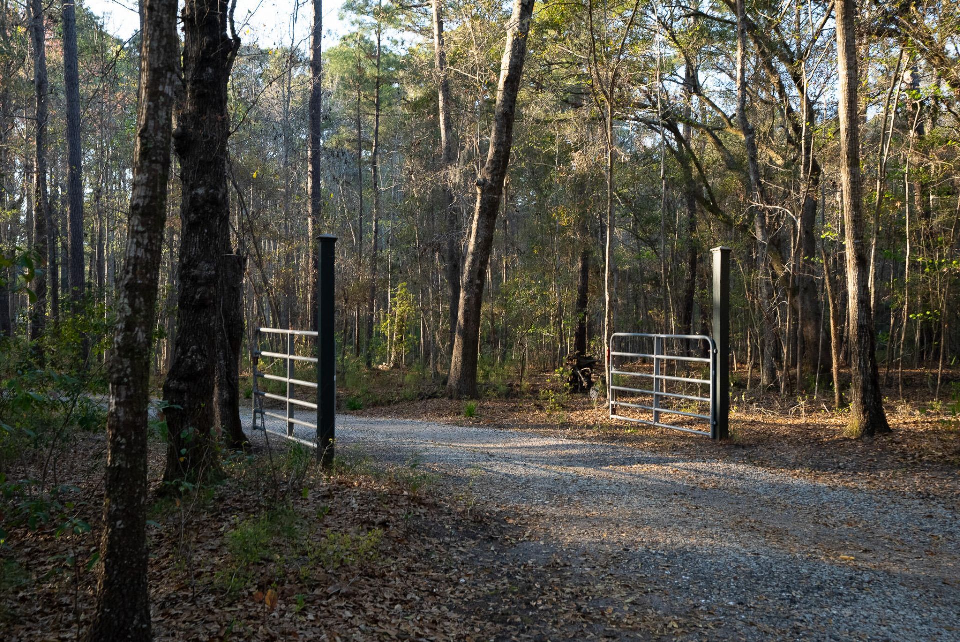 6042 Pawlett Blake Lane Photo 86