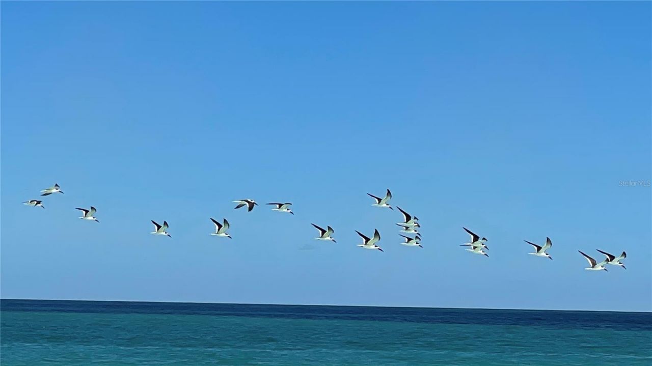 Coral Circle , Fort Pierce, FL 34949 Photo