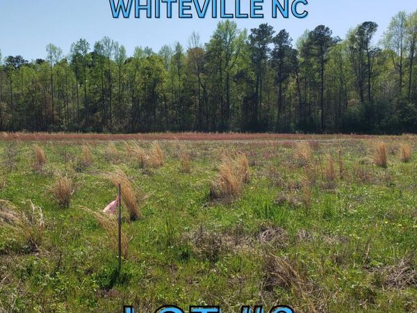 97 Mill Branch Drive , Whiteville, NC 28472