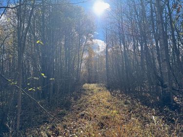 TBD Spangrud Court NE, Kelliher, MN 56650