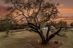 4454 Cottageville Highway photo 4