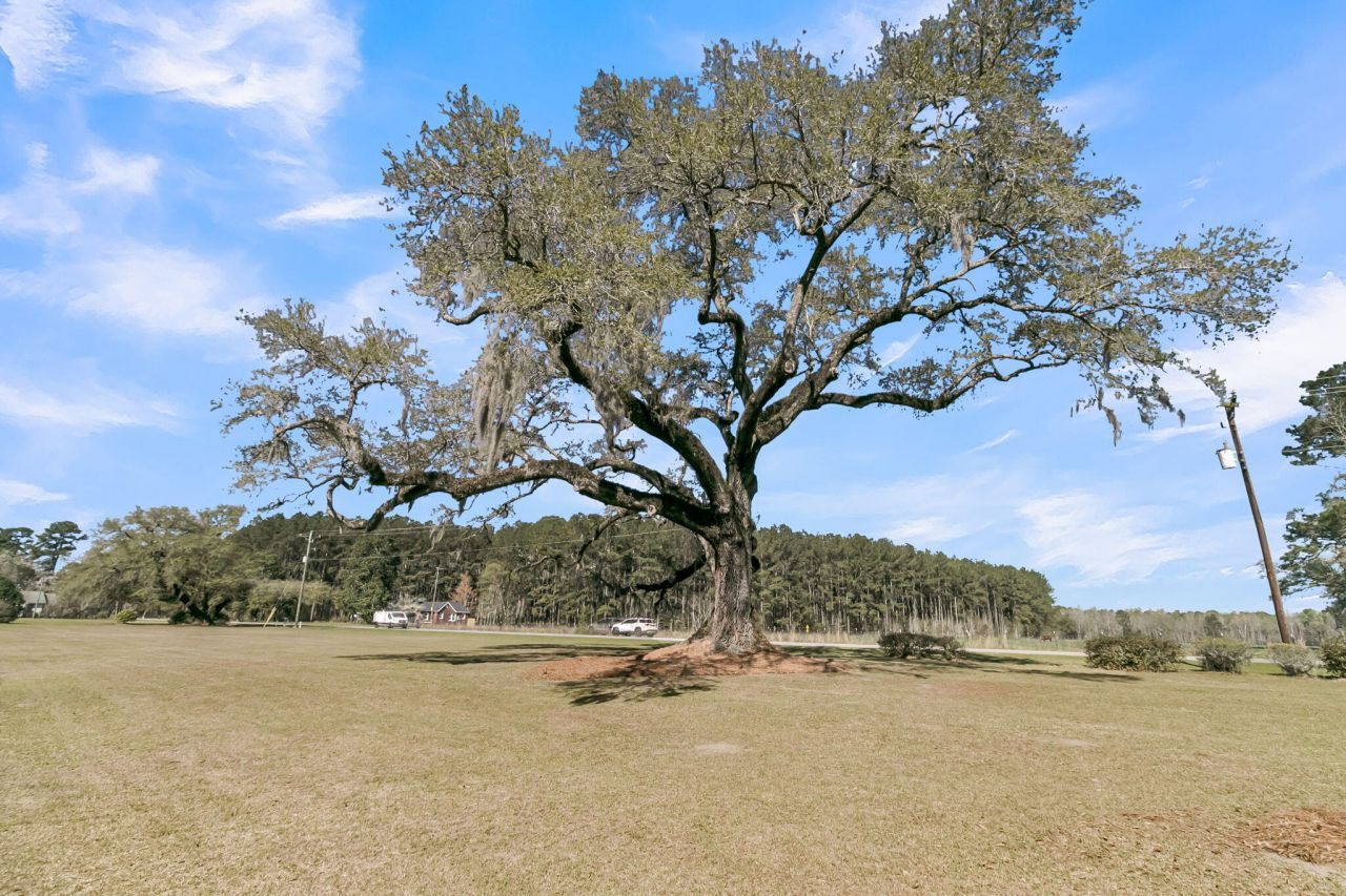 4454 Cottageville Highway Photo 62