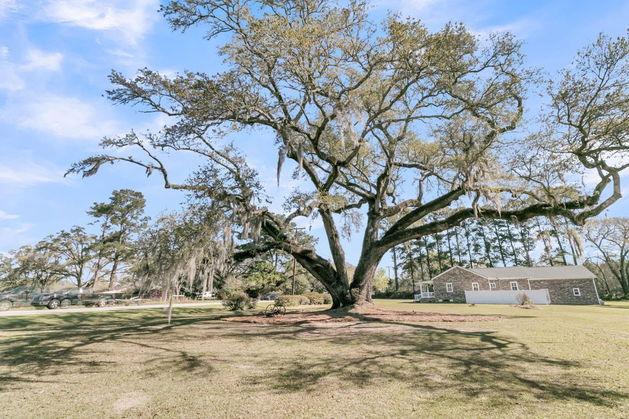 4454 Cottageville Highway Photo 63