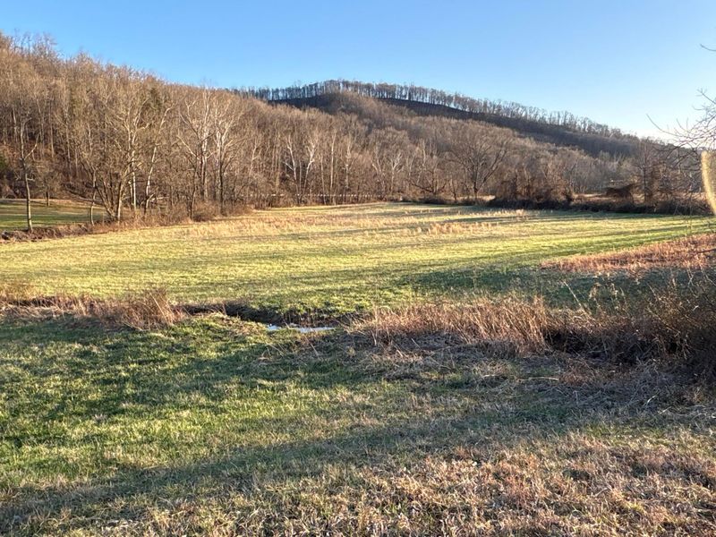 0 Millers Run-Fallen Timber Road, Lucasville, OH 45648 Photo 1
