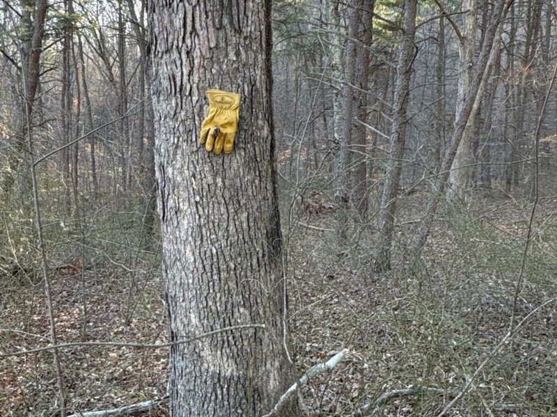 0 Millers Run-Fallen Timber Road, Lucasville, OH 45648 Photo 17