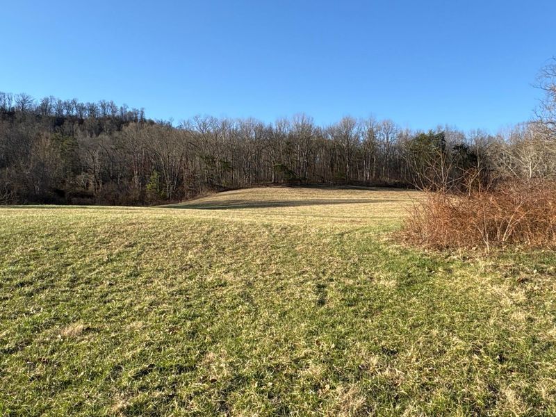 0 Millers Run-Fallen Timber Road, Lucasville, OH 45648 Photo 5