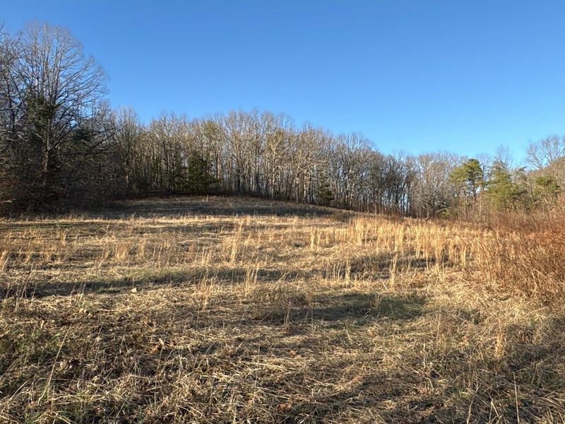 0 Millers Run-Fallen Timber Road, Lucasville, OH 45648 Photo 7