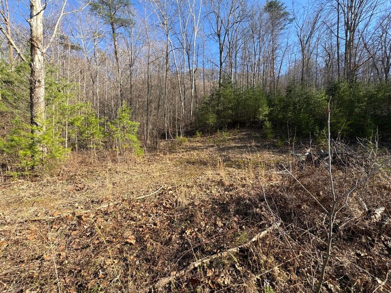 0 Millers Run-Fallen Timber Road, Lucasville, OH 45648 Photo 8
