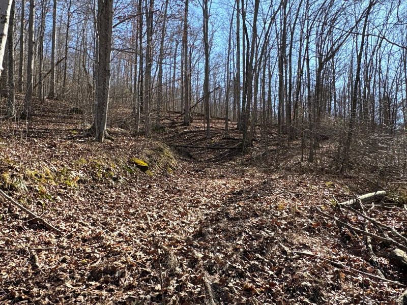 0 Millers Run-Fallen Timber Road, Lucasville, OH 45648 Photo 9