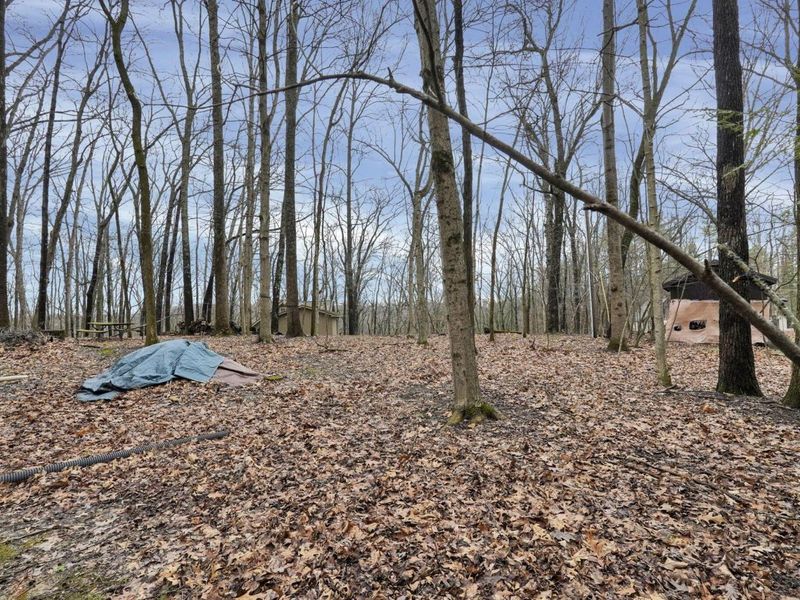 592 Catawba Court, Sugar Grove, OH 43155 Photo 33