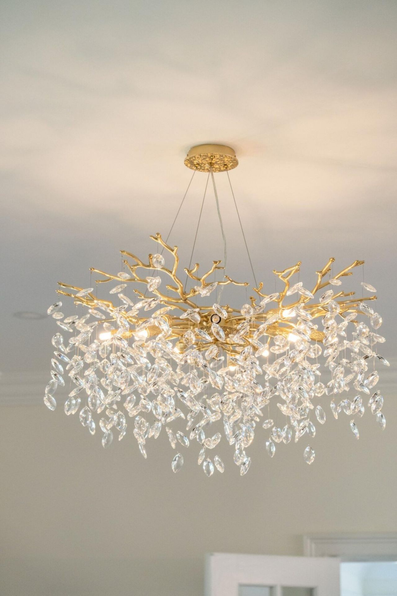 201 Tea Farm Road Photo 23