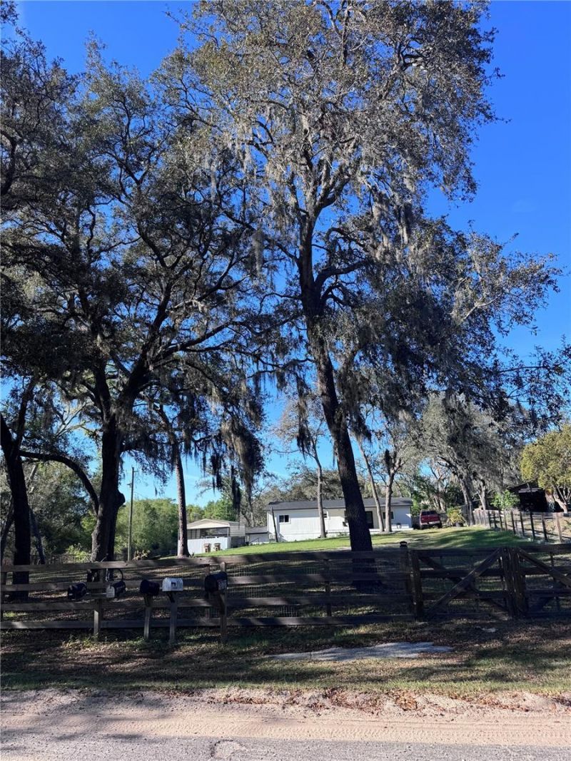 10731 Libby Number 3 Road, Clermont, FL 34715 Photo