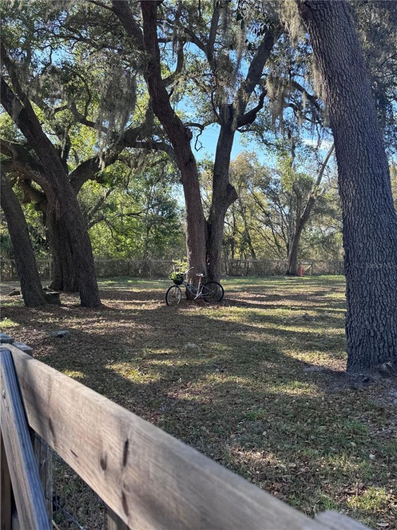 10731 Libby Number 3 Road, Clermont, FL 34715 Photo