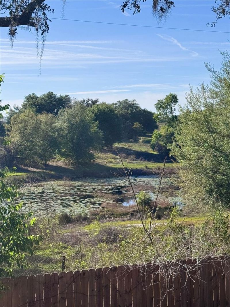 10731 Libby Number 3 Road, Clermont, FL 34715 Photo