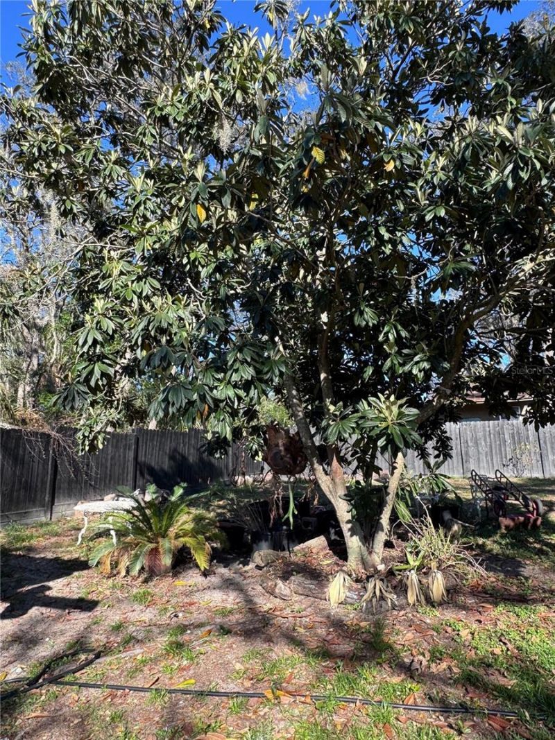 10731 Libby Number 3 Road, Clermont, FL 34715 Photo