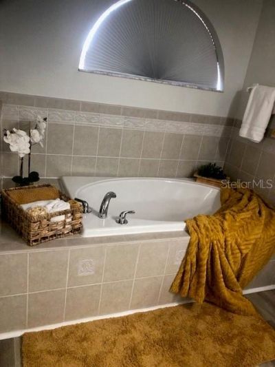 18937 Quarry Badger Road, Land O Lakes, FL 34638 Photo