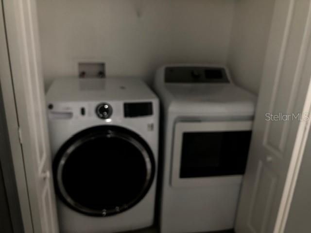 18937 Quarry Badger Road, Land O Lakes, FL 34638 Photo