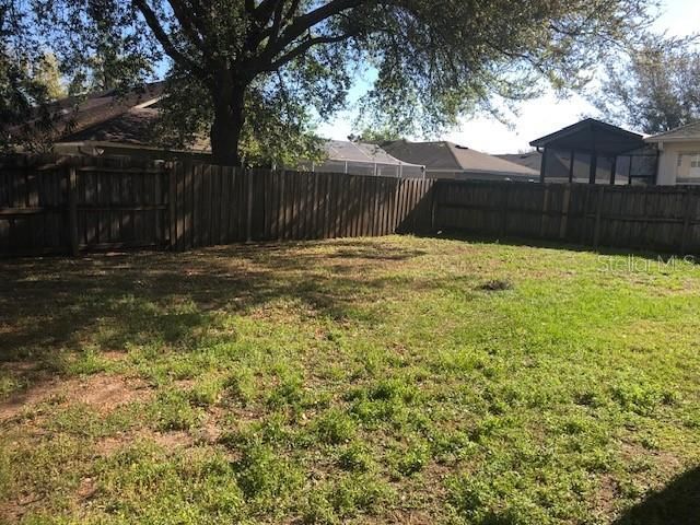 18937 Quarry Badger Road, Land O Lakes, FL 34638 Photo