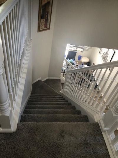 18937 Quarry Badger Road, Land O Lakes, FL 34638 Photo