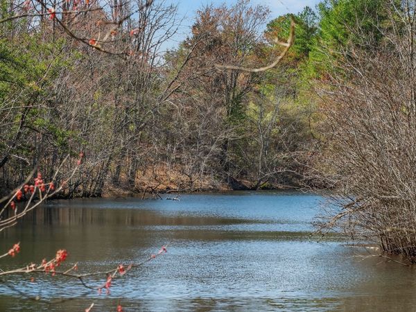 0 Rocky River Rd , Spencer, TN 38585