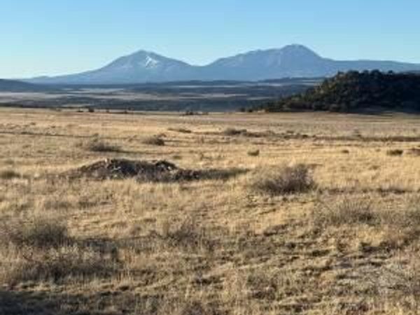21 & 22 Turkey Creek Ranches, Walsenburg, CO 81089