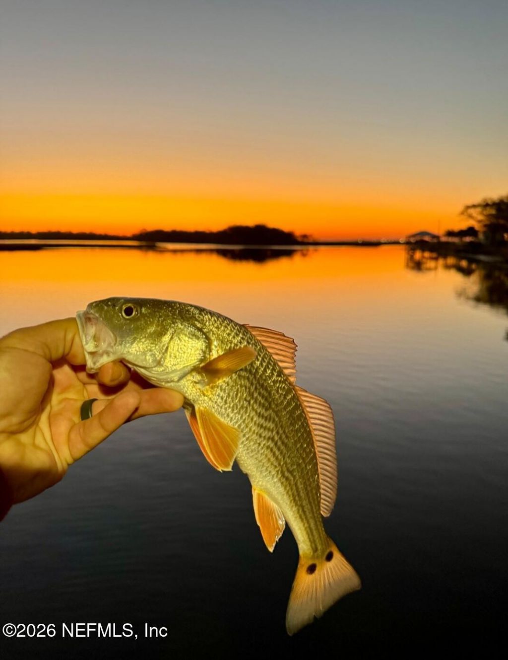 5577 Heckscher Drive, Unit 17, Jacksonville, FL 32226 Photo