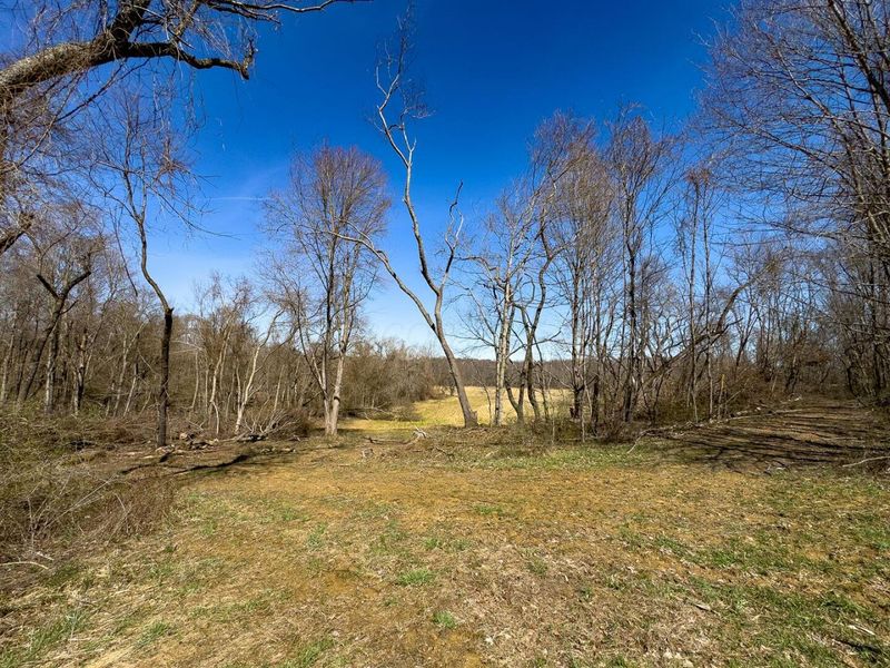 0 Lonesome Road, Thornville, OH 43076 Photo 21