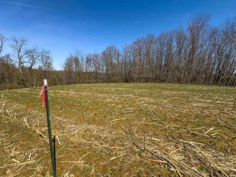 0 Lonesome Road, Thornville, OH 43076 Photo 23