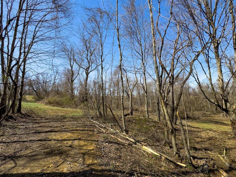 0 Lonesome Road, Thornville, OH 43076 Photo 24