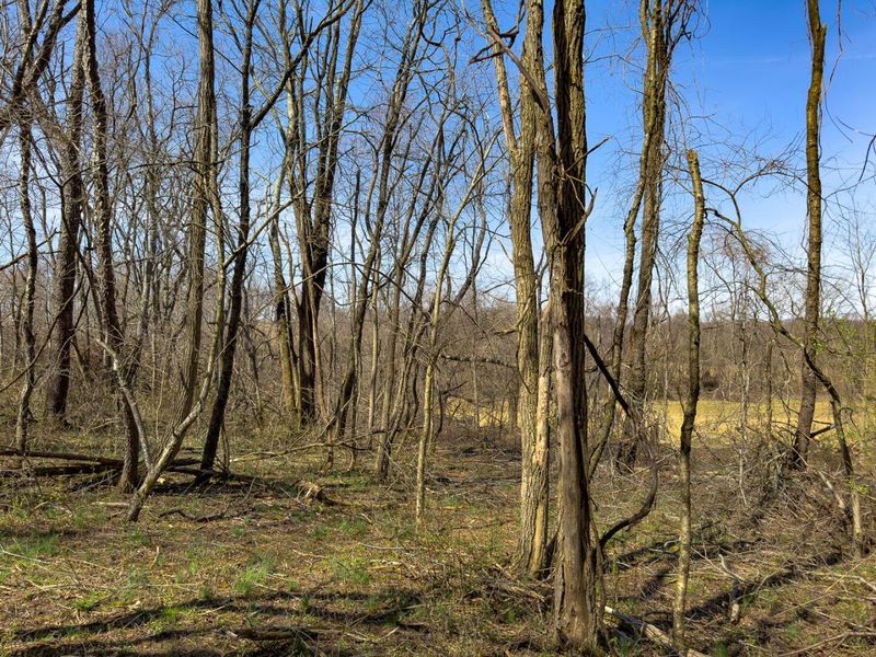 0 Lonesome Road, Thornville, OH 43076 Photo 25