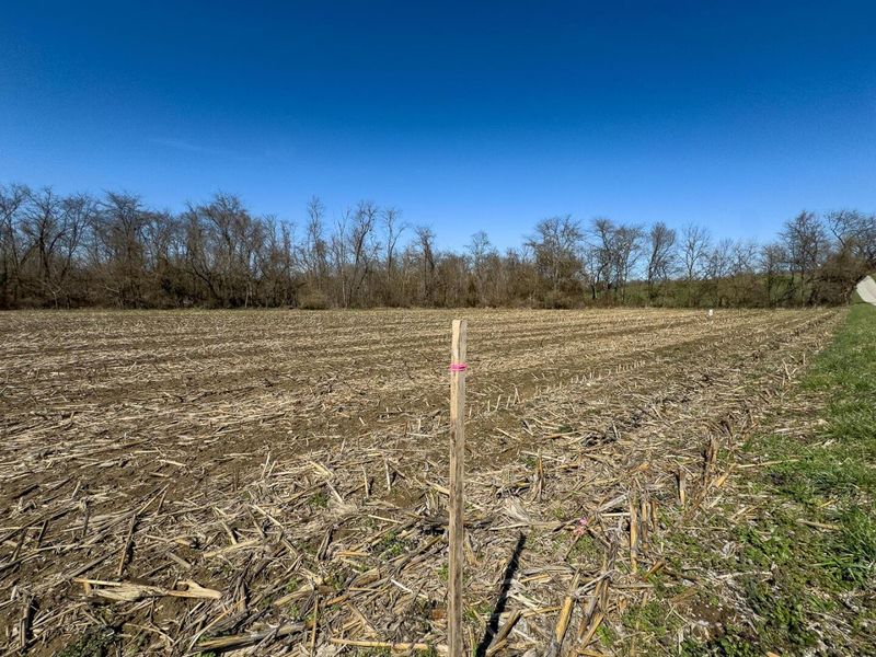 0 Lonesome Road, Thornville, OH 43076 Photo 4