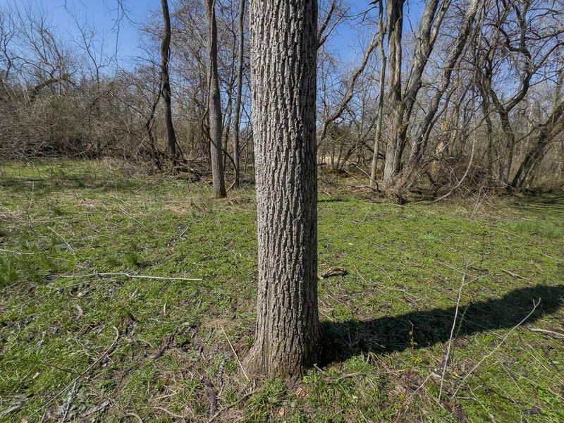 0 Lonesome Road, Thornville, OH 43076 Photo 9