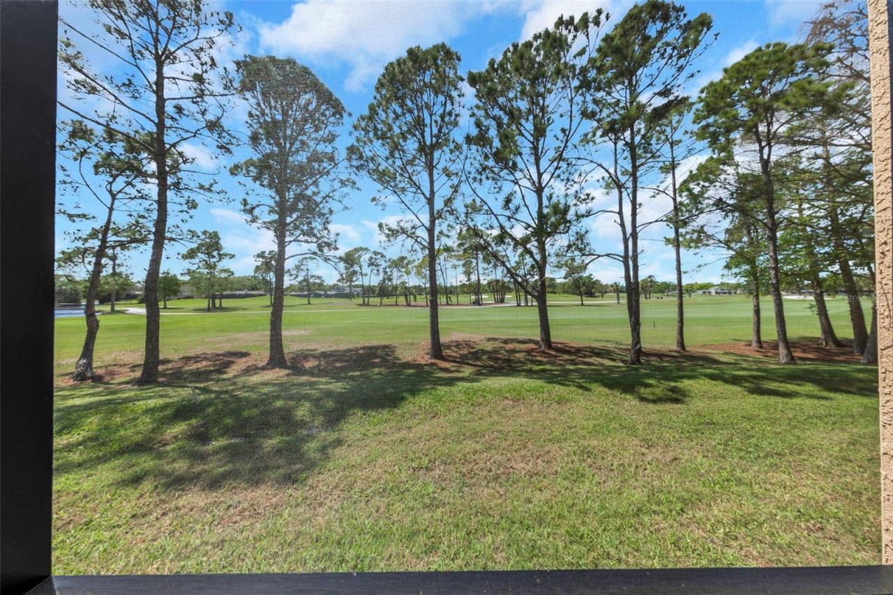 2400 Feather Sound Drive, Unit 412, Clearwater, FL 33762 Photo