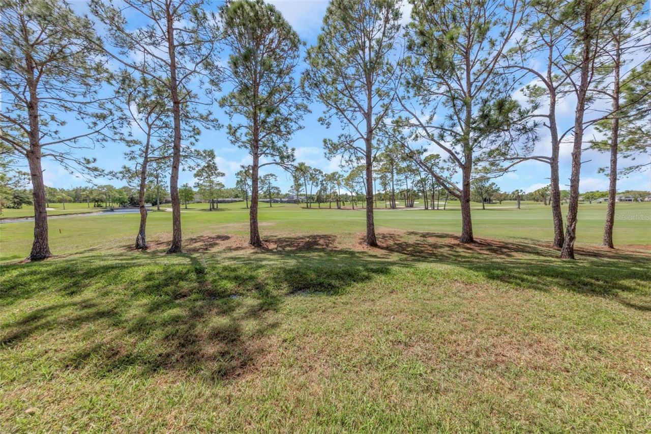 2400 Feather Sound Drive, Unit 412, Clearwater, FL 33762 Photo
