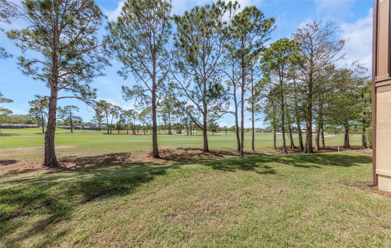 2400 Feather Sound Drive, Unit 412, Clearwater, FL 33762 Photo