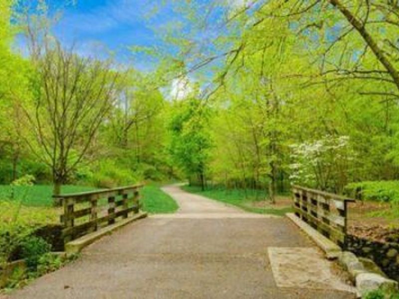 2555 Glenmawr Avenue, Columbus, OH 43202 Photo 45