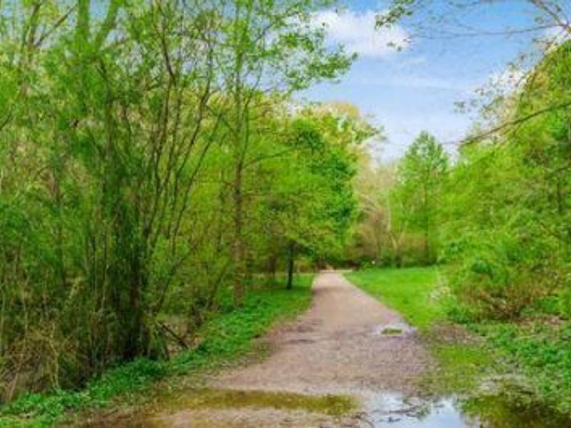 2555 Glenmawr Avenue, Columbus, OH 43202 Photo 49