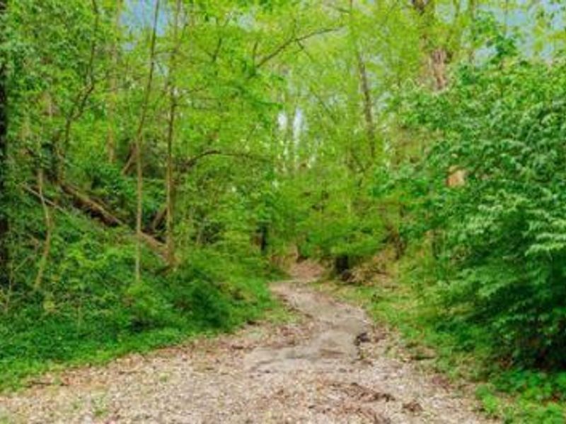 2555 Glenmawr Avenue, Columbus, OH 43202 Photo 51