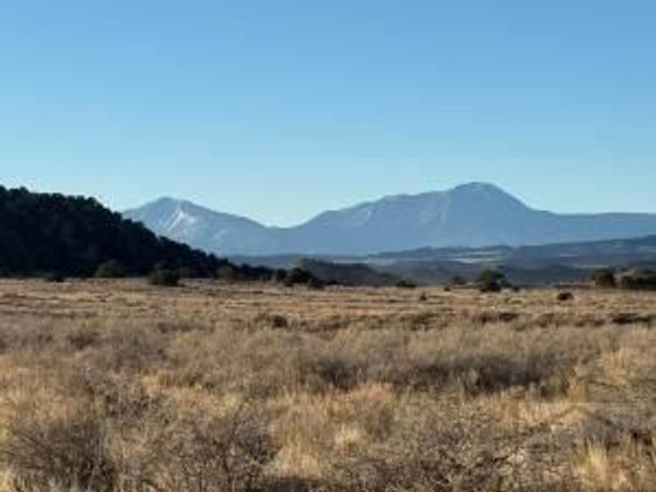 21 Turkey Creek Ranches, Walsenburg, CO 81089