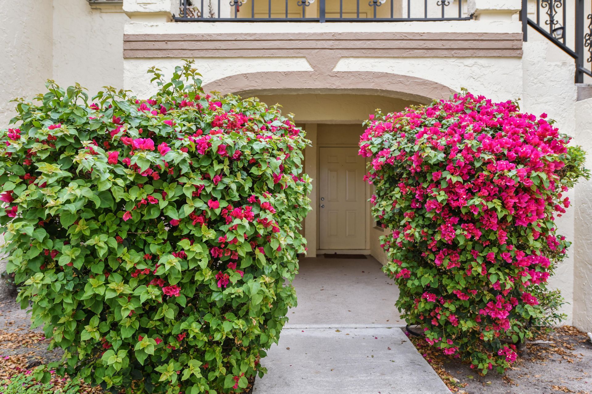 2600 Greenwood Terrace, Unit 107, Boca Raton, FL 33431 Photo