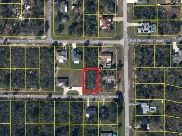 101 BOEING STREET NW, LAKE PLACID, FL 33852