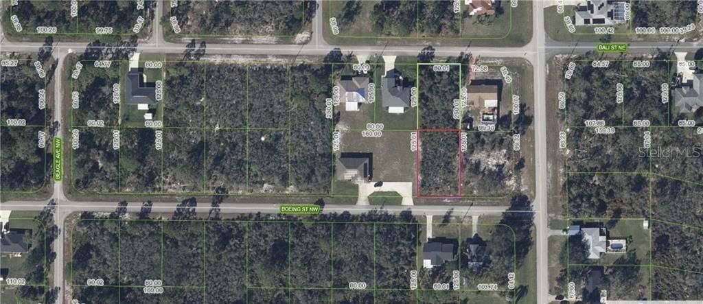 101 Boeing Street Nw, Lake Placid, FL 33852 Photo