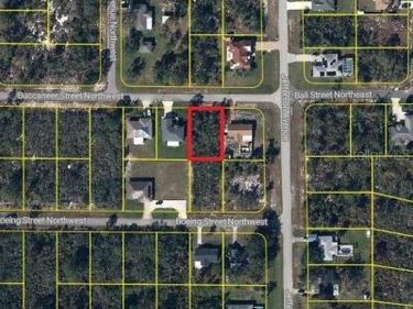 102 BUCCANEER STREET NW, LAKE PLACID, FL 33852