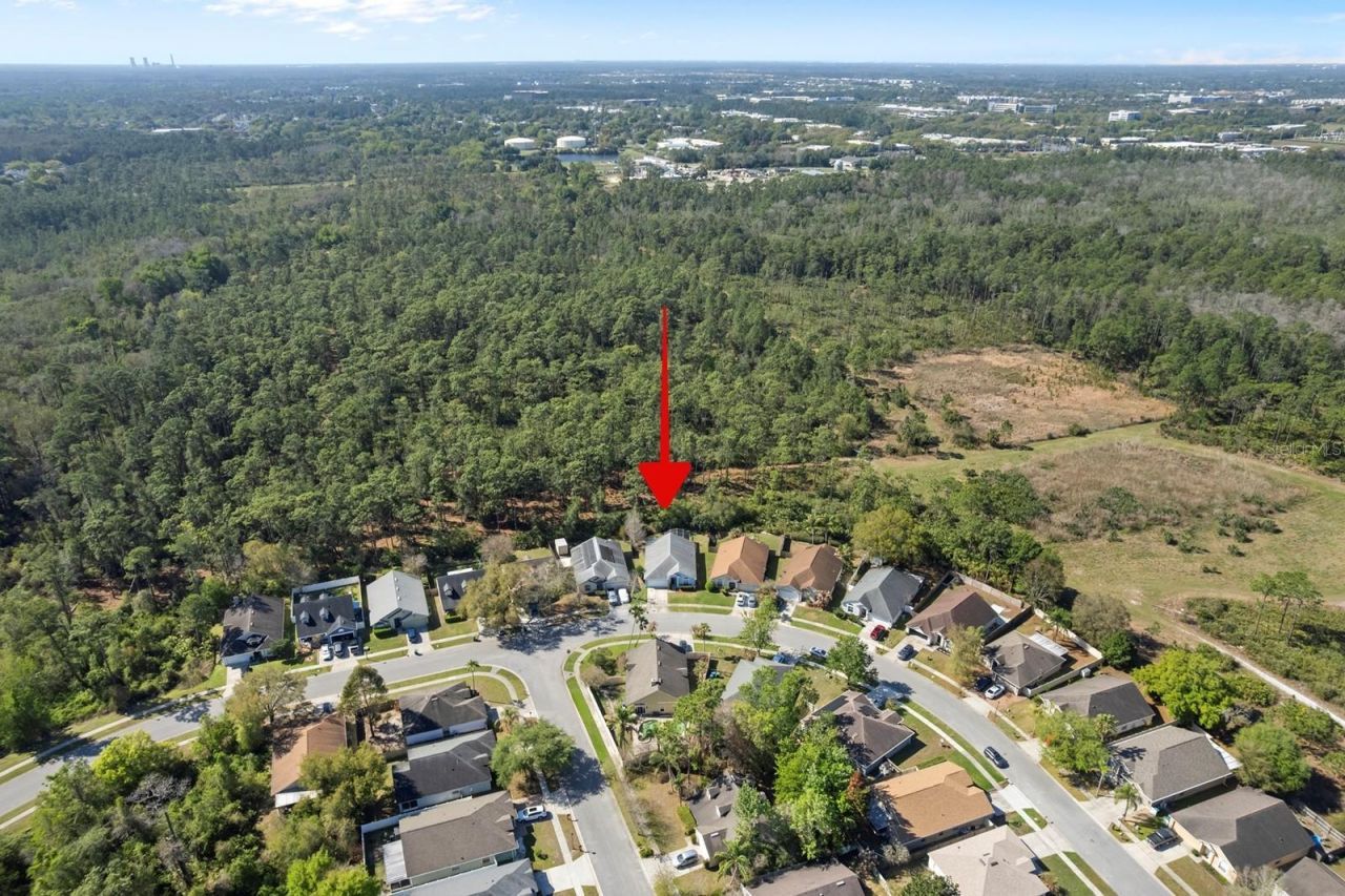 4024 Forest Island Drive , Orlando, FL 32826 Photo