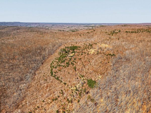 253 Daus Mountain Rd , Palmer, TN 37365