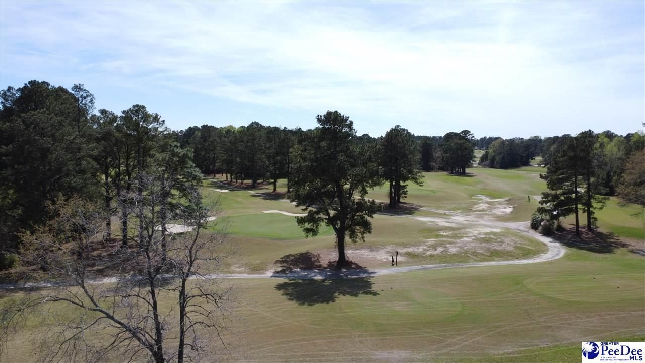 482 Country Club Dr. Photo 67