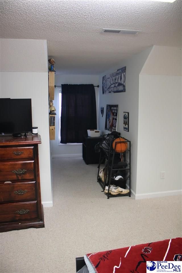 680 Torrey Pines Dr Photo 33