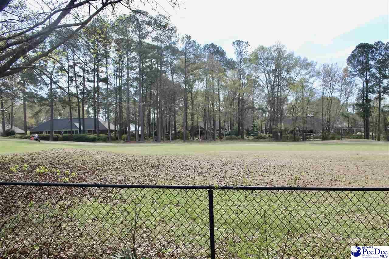 680 Torrey Pines Dr Photo 43