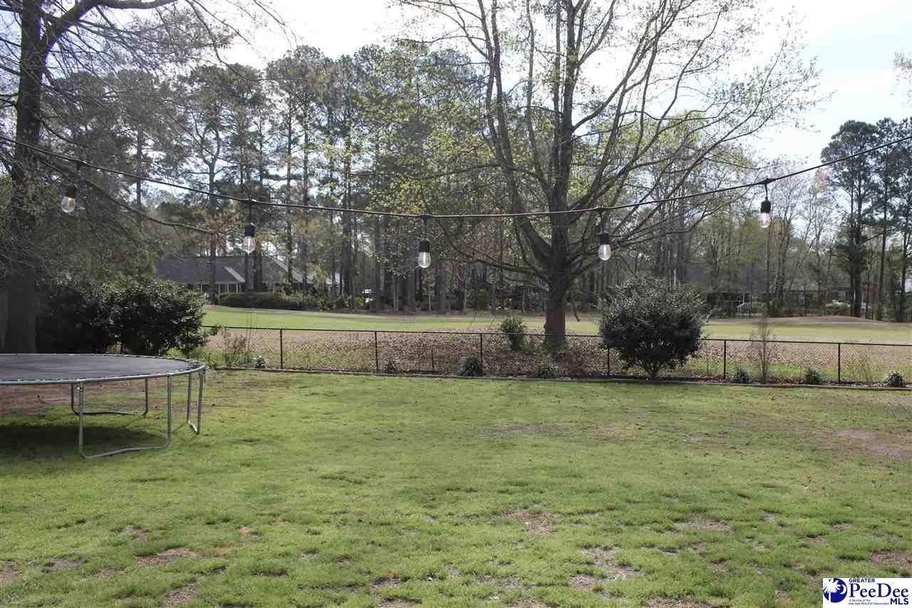 680 Torrey Pines Dr Photo 44