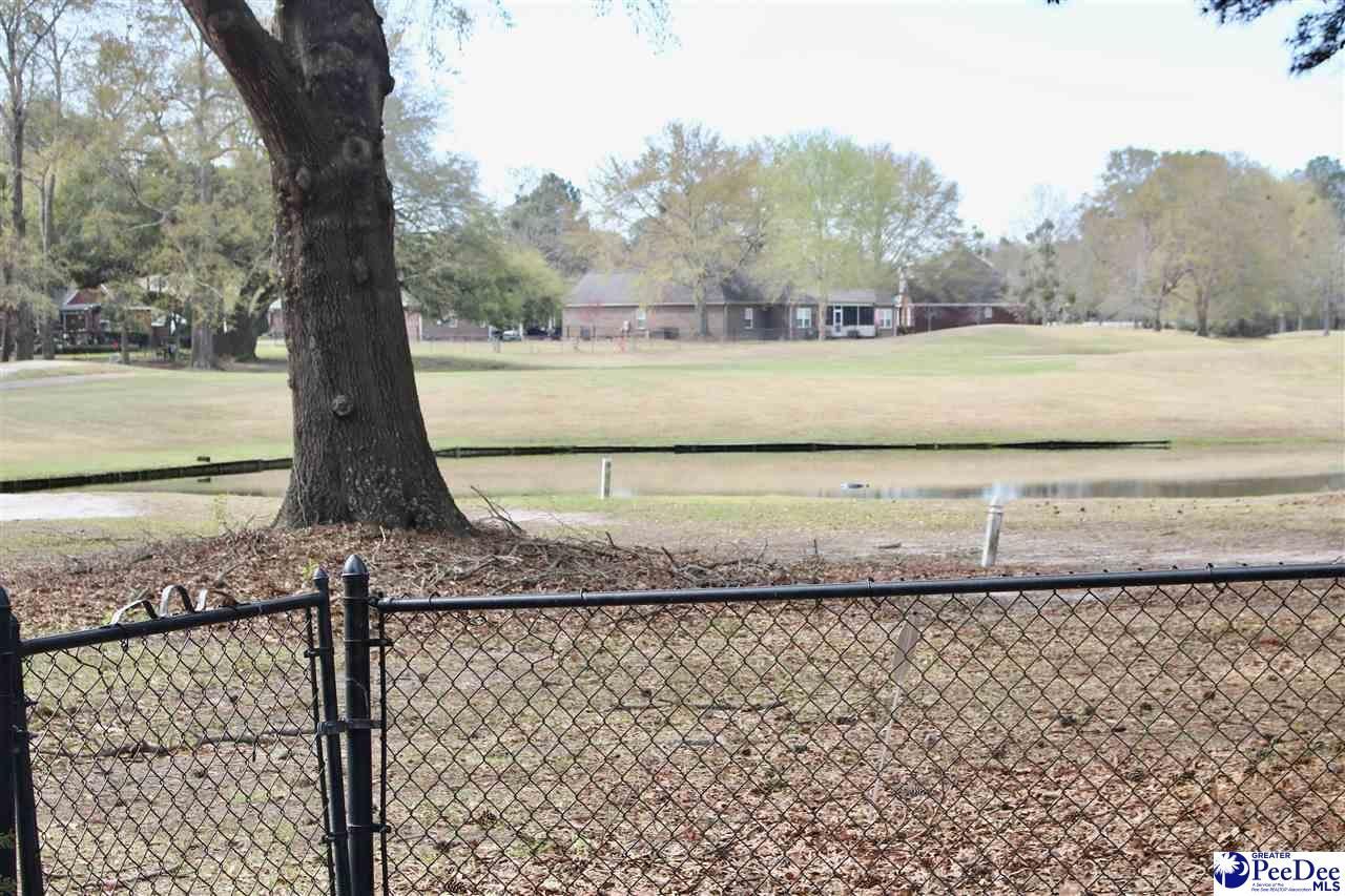 680 Torrey Pines Dr Photo 45